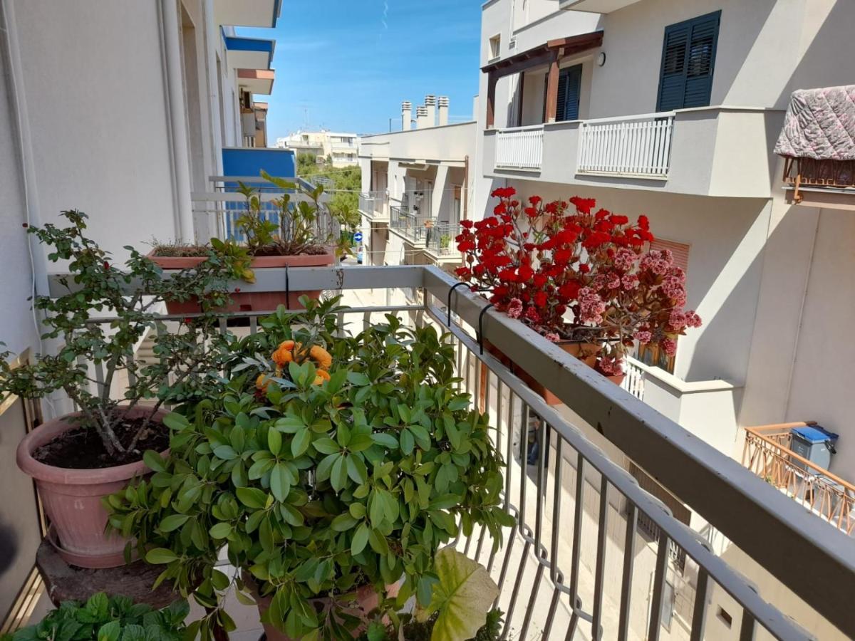 פולינאנו א מארה B&B Famigliare Arcadia Polignano מראה חיצוני תמונה