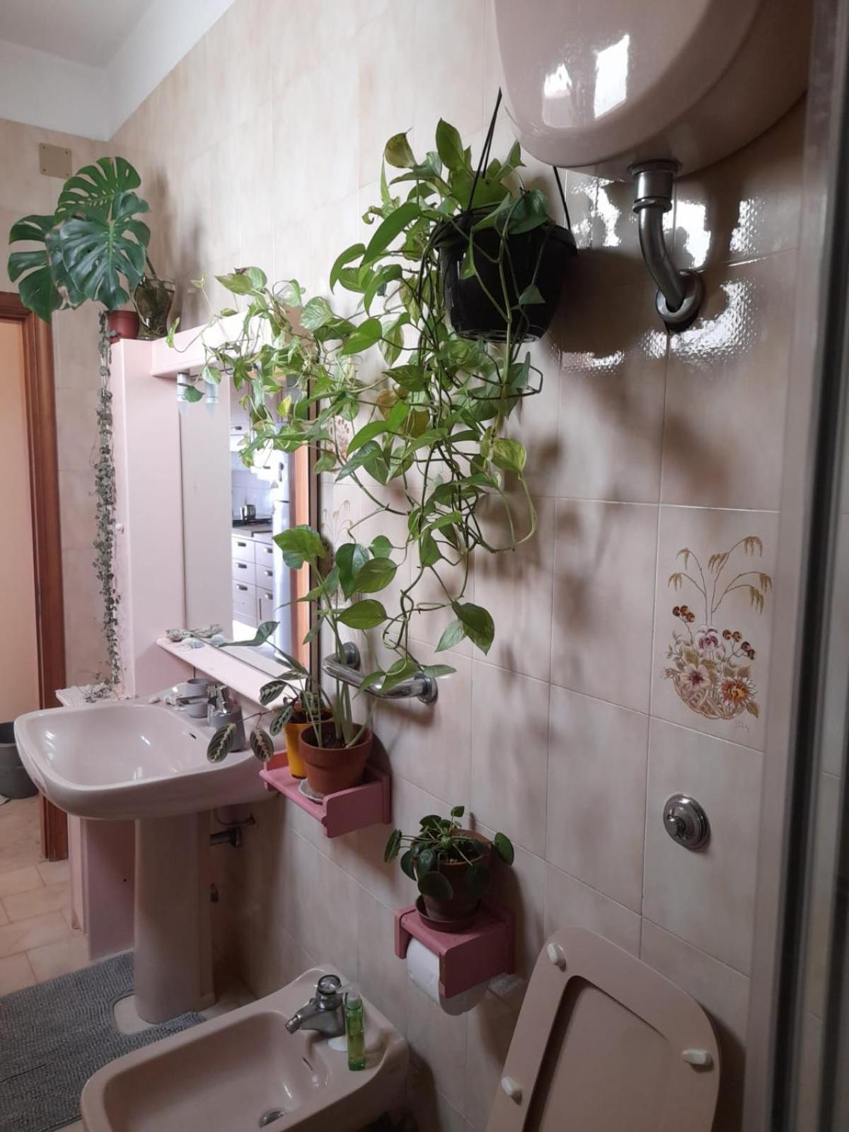 פולינאנו א מארה B&B Famigliare Arcadia Polignano מראה חיצוני תמונה